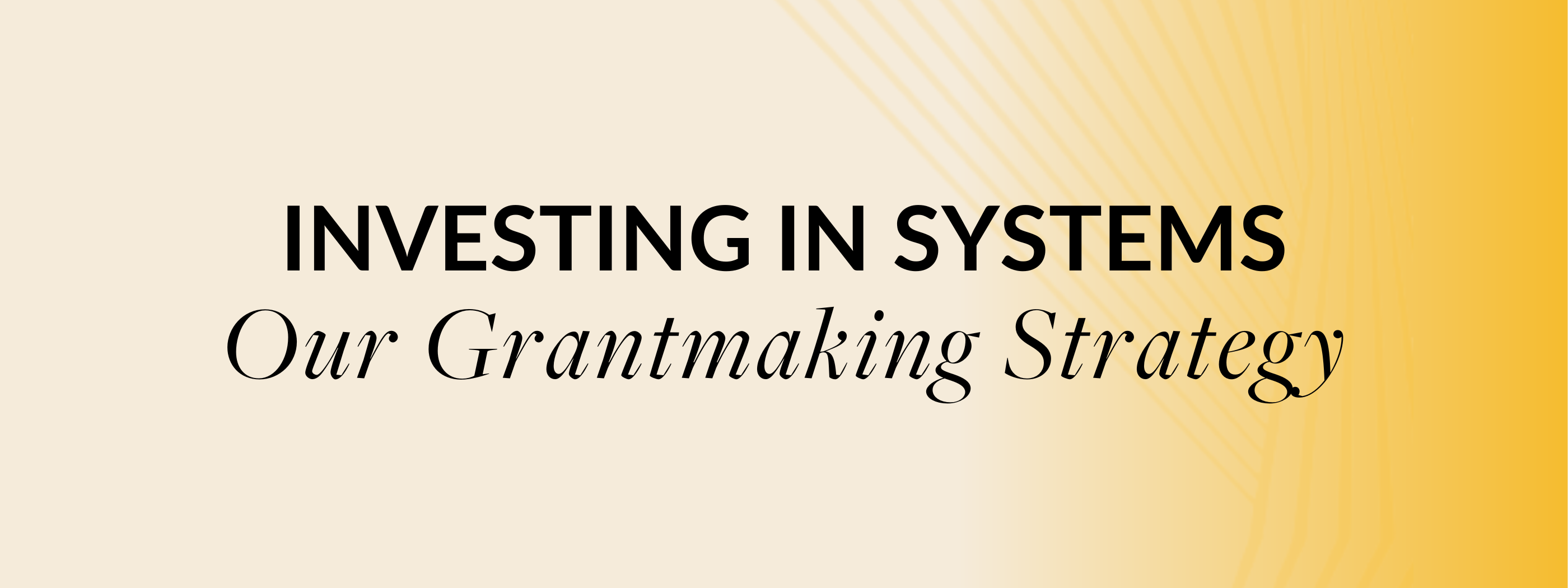 Investing in systems